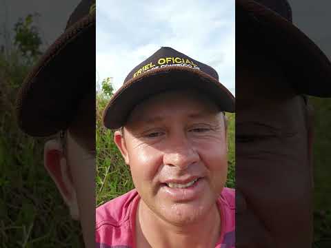 Pescaria top terça-feira  27/01/2026 Açude público de Girau do Ponciano-AL