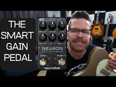 Neunaber Audio Neuron Gain Intelligence 2019 - Black image 3