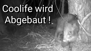 Wildkamera wird abgebaut !