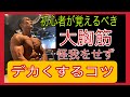 初心者の胸トレで1番大切な事!このポイントを押さえて怪我をせずに大胸筋を育てよう!『ダンベルプレス解説』これを覚えれば大胸筋がでかくなる!