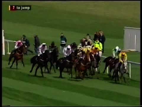 2006 Citroen C6 Sefton Novices' Hurdle