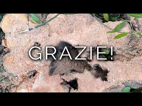 1360-IT Mario, GRAZIE! - Ipnosi Esoterica ∞ Lucio Carsi