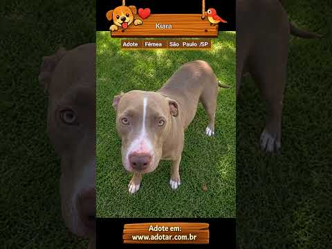 Vídeo de Kiara