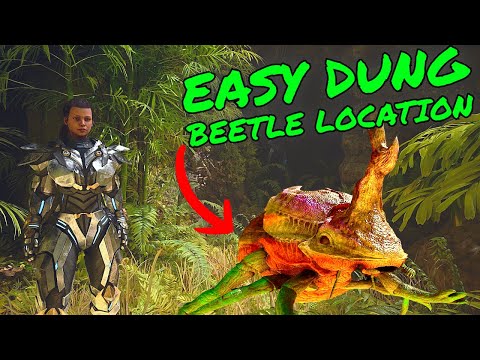 EASY DUNG BEETLE TAMING LOCATION on Ark Survival Ascended the ISLAND!!!
