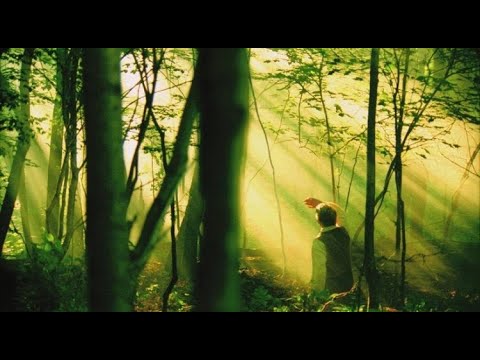 Brilha, Meiga Luz #60