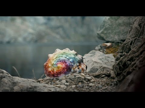SPIRILKA - Studentský fantasy film 🐌