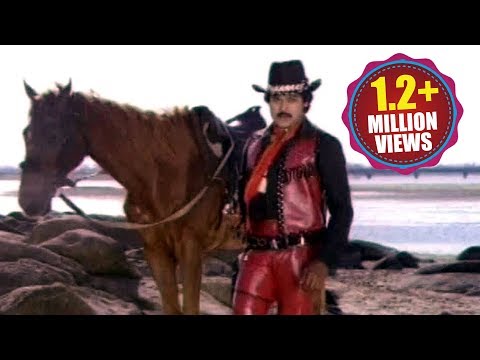 Adavi Donga Songs - Veera Vikrama - Chiranjeevi, Radha