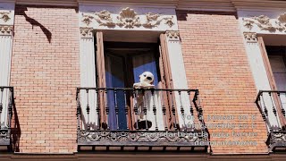 Voy a pensar en ti - Fran Perea - Letra (subtitulado) - Madrid