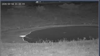 Thumbnail del capítulo