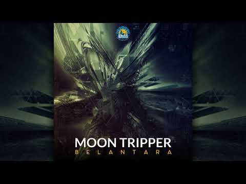 Moon Tripper - Groovy Doobie