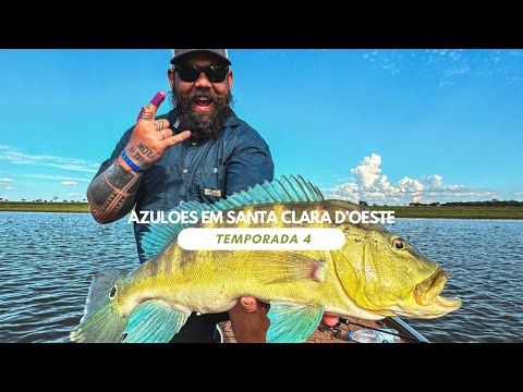 A PRIMEIRA DA TERCEIRA TEMPORADA! - TUCUNARÉS AZUIS EM SANTA CLARA D'OESTE