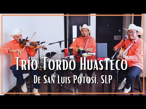 Trío Tordo Huasteco de San Luis Potosí SLP