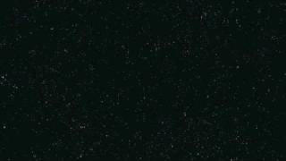 BUSCEMI Welcome to reality