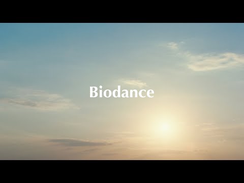 비디오 13