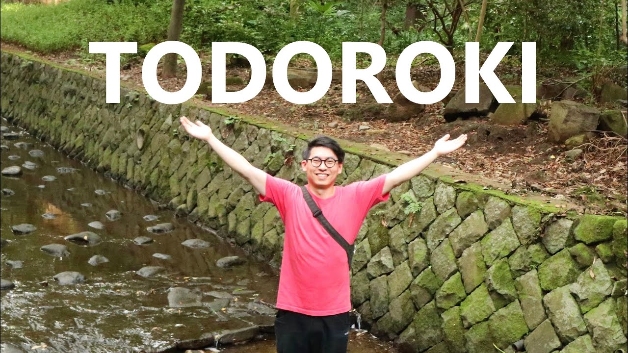 A traveler embarks on an exciting exploration of the enchanting Todoroki Valley.