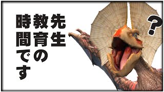 イャンクック先生の教育