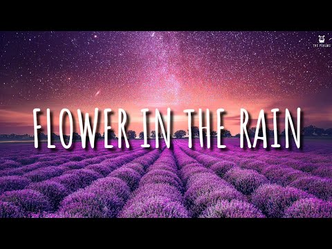 Flower In The Rain - Jaci Velasquez (Lyrics Video)