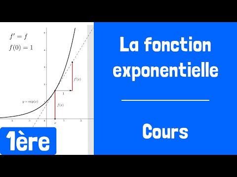 Cours : La fonction exponentielle (et ses propriétés)