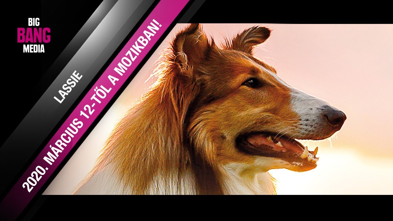 Lassie hazatér (6) - Hivatalos magyar nyelvű előzetes