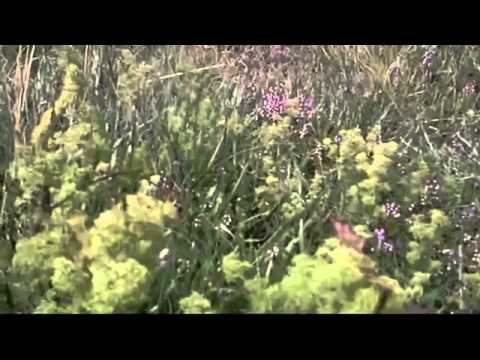 Cazare Campulung Muscel - Cazat.ro