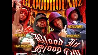 BloodhoundZ - Respect My Gangsta
