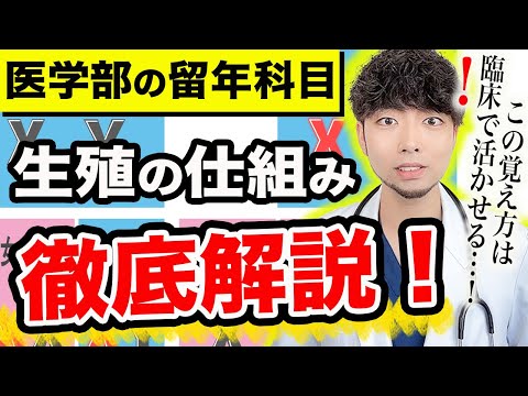医学科 【動画で学習!!生殖の仕組み】医学生が試験対策で教科書使うのはもう古いです。動画で現役医師が徹底解説します。