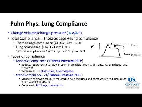 University of Kentucky Anesthesiology RespiratoryThoracic Keyword Review Part 2 of 3 (Dr. Schell)