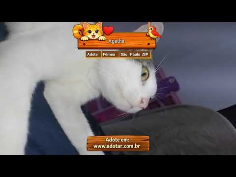 Vídeo de Agatha 
