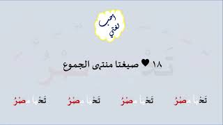 18 & صوت صيغتا منتهى الجموع image