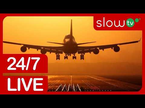 プラハ空港の離着陸のライブカメラ映像