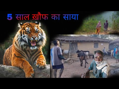 "शेर जैसे.. अयाल वाला बाघ" .. Maneater of Chordi/Shivamogga (Karnataka) Kenneth Anderson