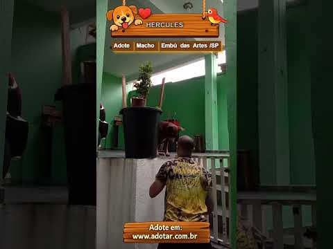 Vídeo de HERCULES
