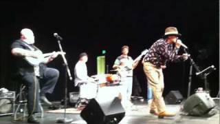 A Tribute to Paul Butterfield Blues Band