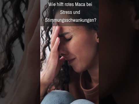 Maca Rot Wirkung auf stress #maca #stress #bionutra