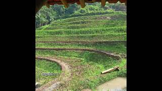 Download lagu Doel Sumbang Bogoh Kasaha Lirik #popsunda mp3