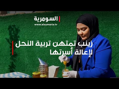 شاهد بالفيديو.. زينب من واسط تمتهن تربية النحل لإعالة أسرتها