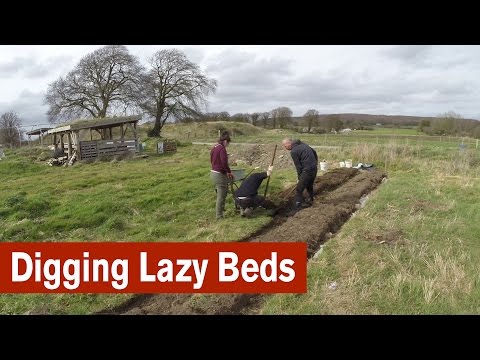Digging Lazy Beds to Start a Garden Video