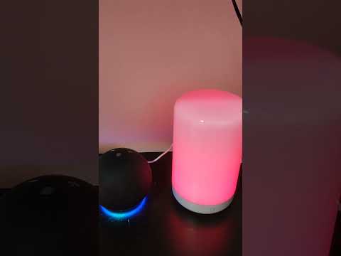 LB3 Smart Bedside Lamp with Alexa 🌈