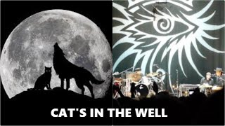Cat&#39;s In The Well - Bob Dylan - St. Petersburg, Russia 2008