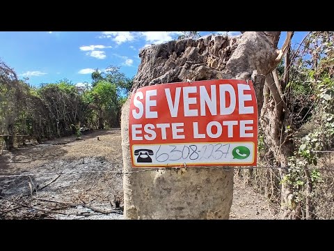 # 2 BONITOS LOTES JUNTOS !! EN SAN LUIS TALPA ✨️MAS DE 450 METROS CUADRADOS A 17 MINUTOS DE ✈️