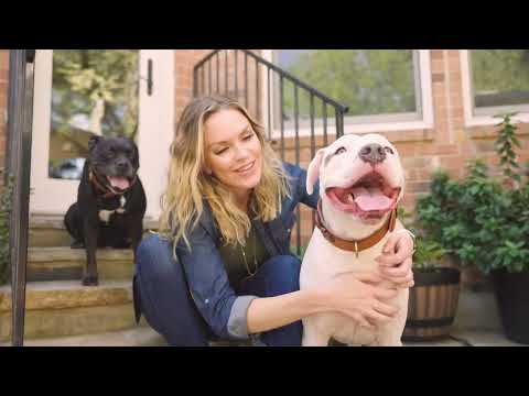 WILD EARTH DOG FOOD REVIEW 2 YEARS LATER | PLANT-BASED NUTRITION FOR YOUR DOG