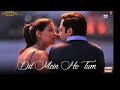 Dil Mein Ho Tum