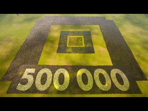 KNIGHTS & ARCHERS vs ZOMBIE ARMY | Ultimate Epic Battle Simulator 2 | UEBS 2