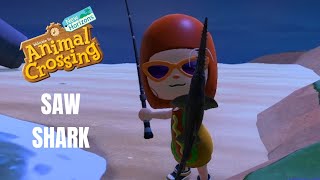 Animal Crossing: New Horizons: How To Catch A SAW SHARK (Bells, Location, Time)