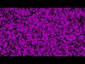 LPB Disco Surreal I 2017