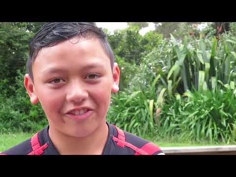 Whale Stranding Reflections - Active Ferns