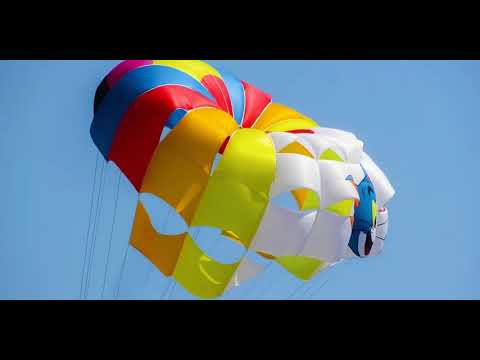 download lagu mp3 mp4 Parachute Dream, download lagu Parachute Dream gratis, unduh video klip Parachute Dream