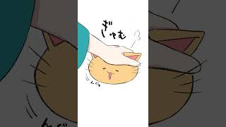猫を裏返してはいけない理由 #イラスト #shorts #猫