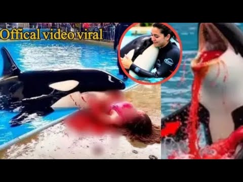 Jessica and dolphin. Jessica is no more 🥺😭😭 / Sami Sonia vlog 