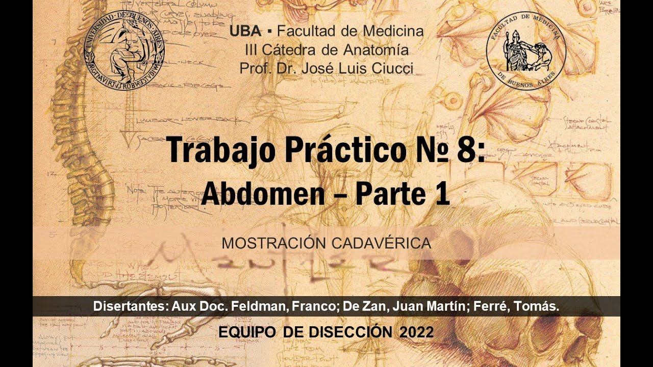 Mostración Cadavérica 2022 - Abdomen Parte 1